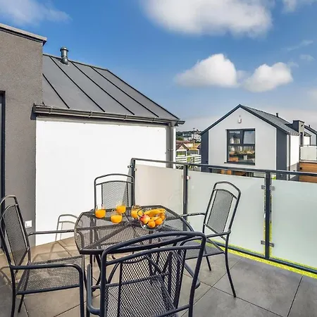 Calvo Leba, Nowecin *